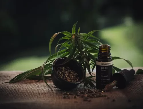 Managing Stress and Anxiety with CBD Oil: How It Works and Why It’s Worth a Try